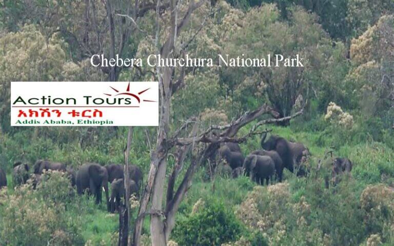 Chebera Churchura National park