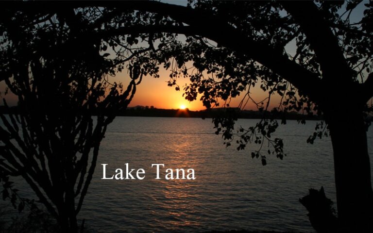 Visit Blue Nile Falls, Monasteries on Lake Tana, Langano 6 Days