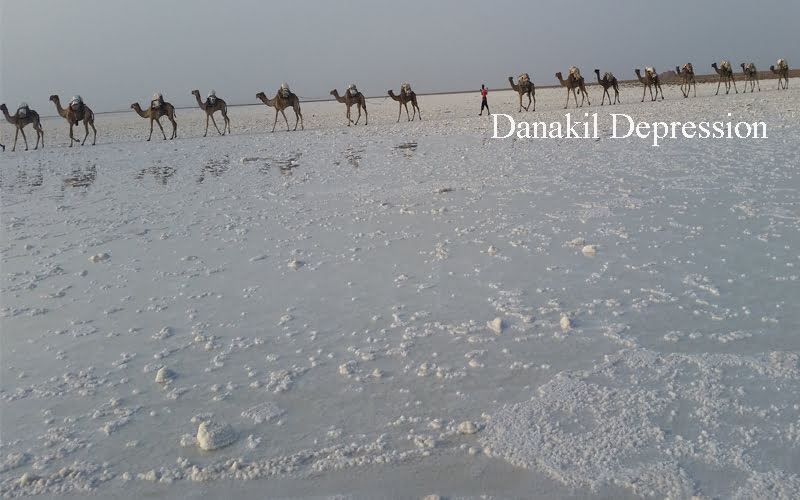 Visite Dépression Dallol,Danakil